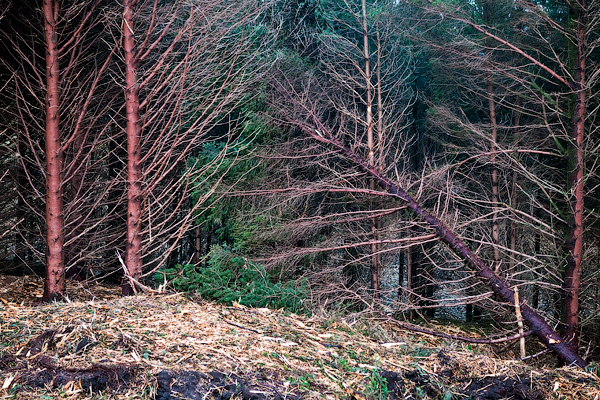 isle_of_skye_scotland_photography_courses_london_2