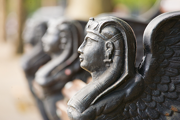 Photography Course For Beginners