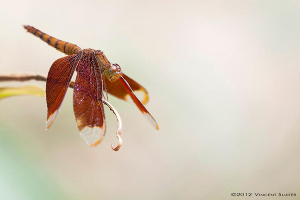 London Digital Photography Courses