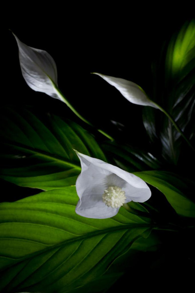 London Digital Photography Courses