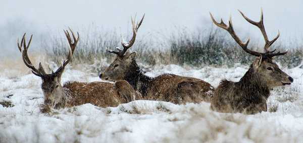 photography courses London Photography Courses London