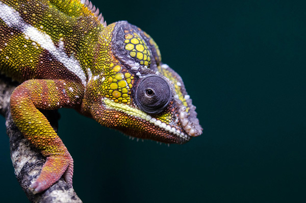 photography courses London Photography Courses London