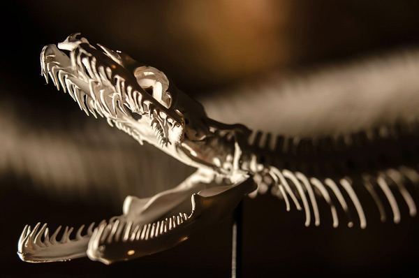 photography courses London Photography Courses London