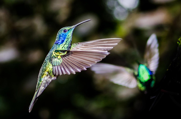 photography courses London Photography Courses London