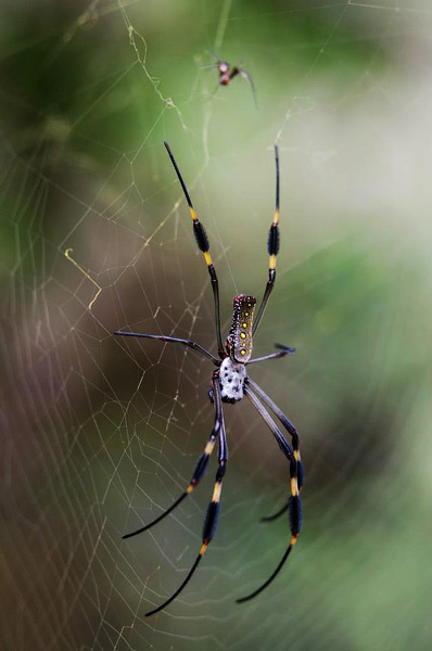 photography courses London Photography Courses London