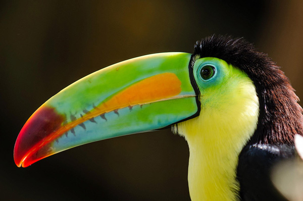 photography courses London Photography Courses London