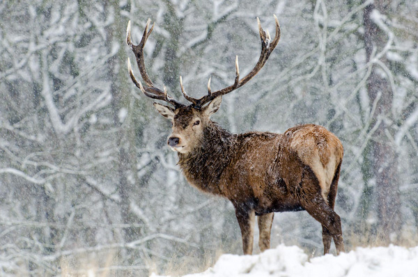 photography courses London Photography Courses London