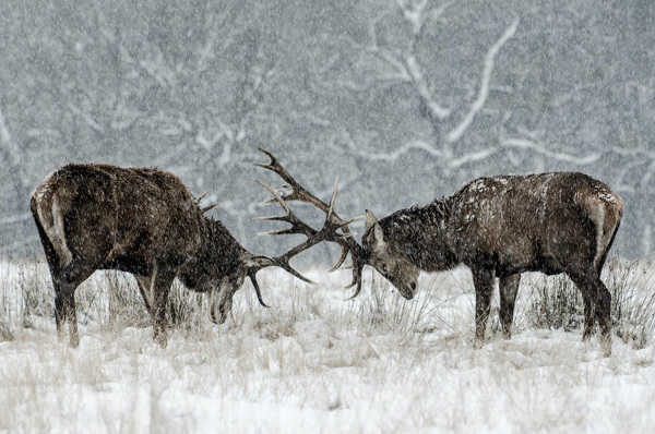 photography courses London Photography Courses London