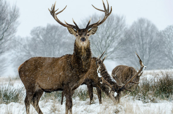photography courses London Photography Courses London