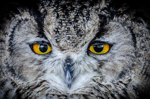 photography courses London Photography Courses London