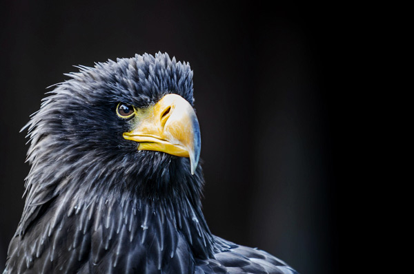 photography courses London Photography Courses London