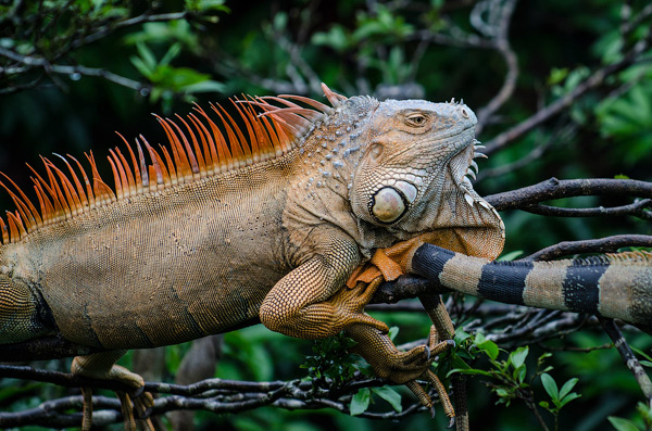 Photography Courses London