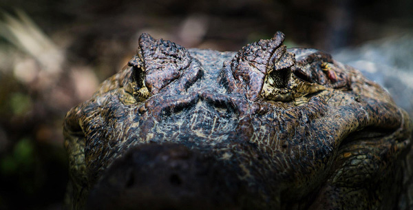 photography courses London Photography Courses London