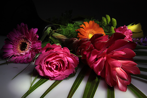 London Digital Photography Courses, Student Images