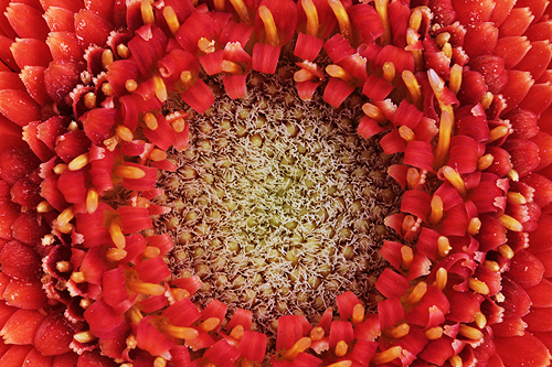 London Digital Photography Courses, Student Images