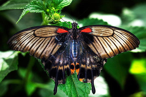 London Digital Photography Courses, Student Images