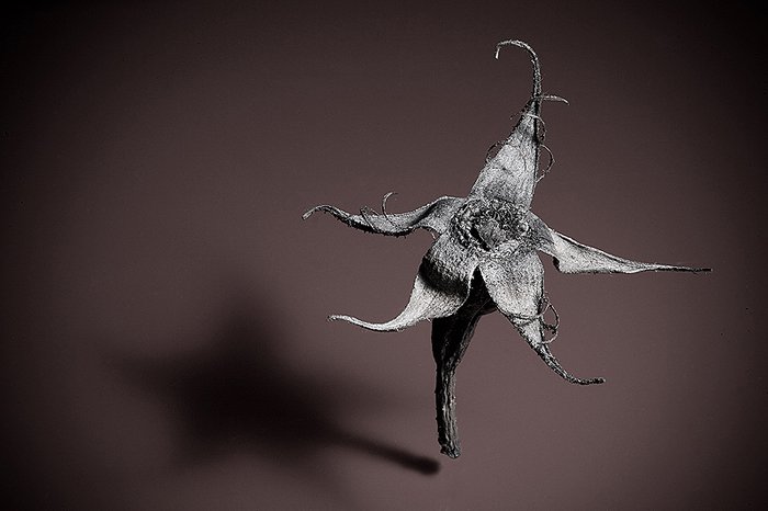 Photography Courses London, FAQ