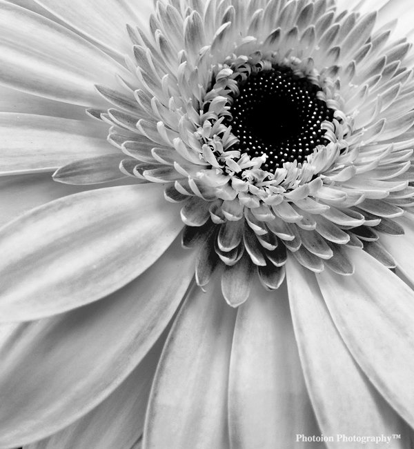 mobile_phone_photography