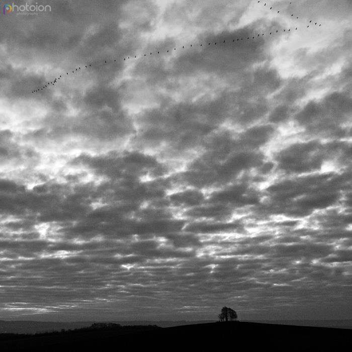 Black and White landscape photogaphy