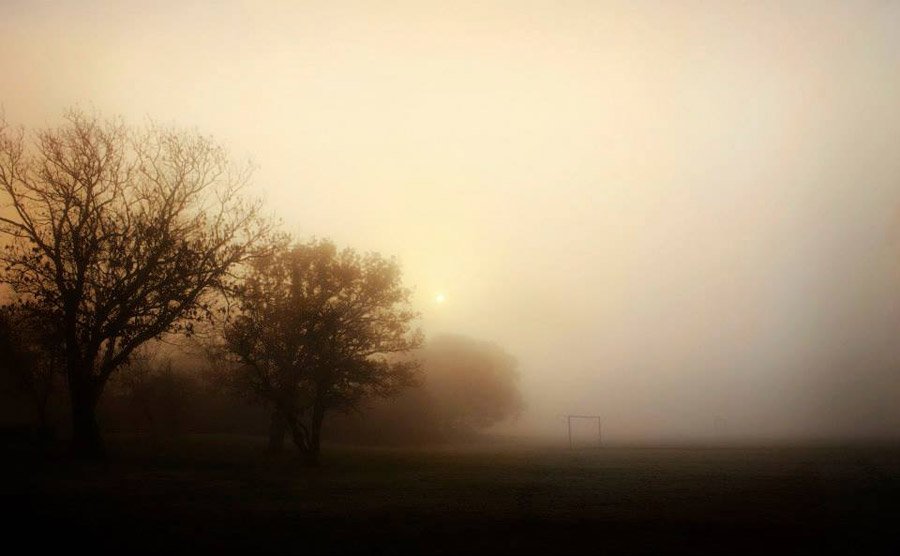 Foggy landscape