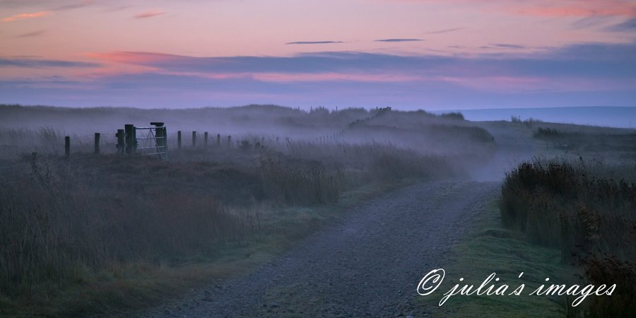 Grinton Moor at sunrise, Yorkshire Dale by Julia Wainwright