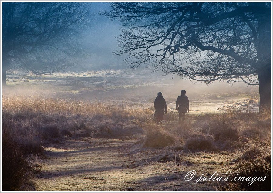 Richmond Park by Julia Wainwright