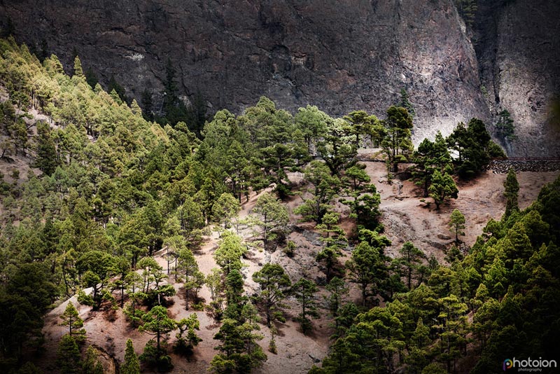 la-palma-canary-islands-spain-caldera-de-taburiente-ion-paciu-photoion-3