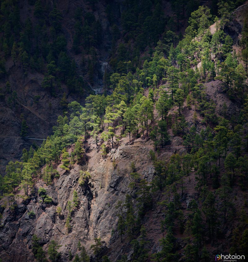 la-palma-canary-islands-spain-caldera-de-taburiente-ion-paciu-photoion-7