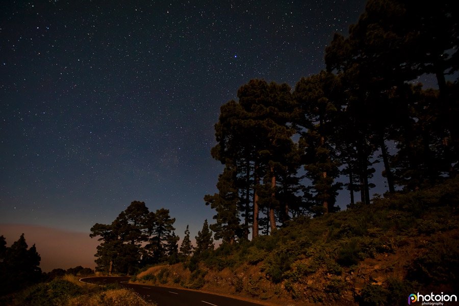 la-palma-canary-islands-spain-stars-starry-ion-paciu-photoion-forest