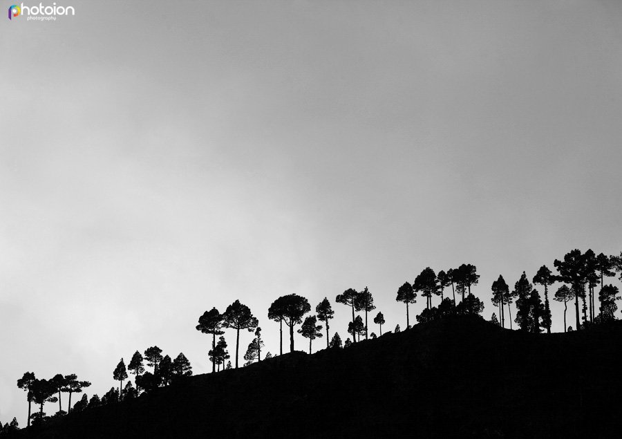 la-palma-canary-islands-spain-tatiana-photoion-caldera-taburiente