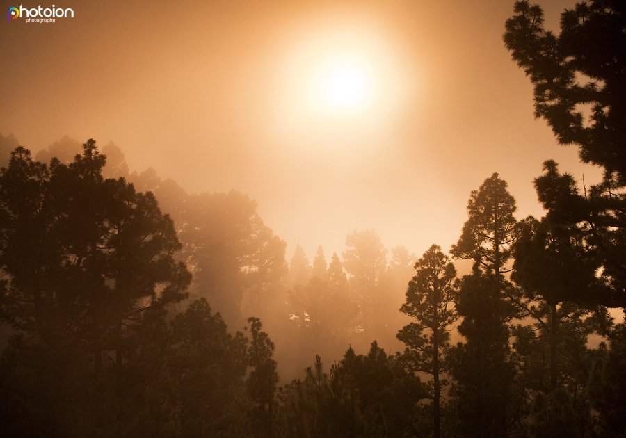 la-palma-canary-islands-spain-tatiana-zigar-photoion-forest-clouds-sunset-golden-2