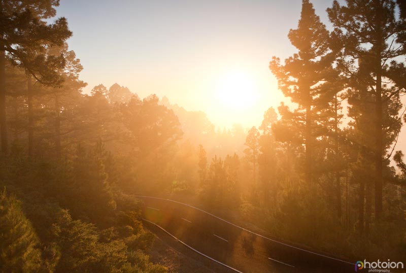 la-palma-canary-islands-spain-tatiana-zigar-photoion-forest-clouds-sunset-golden