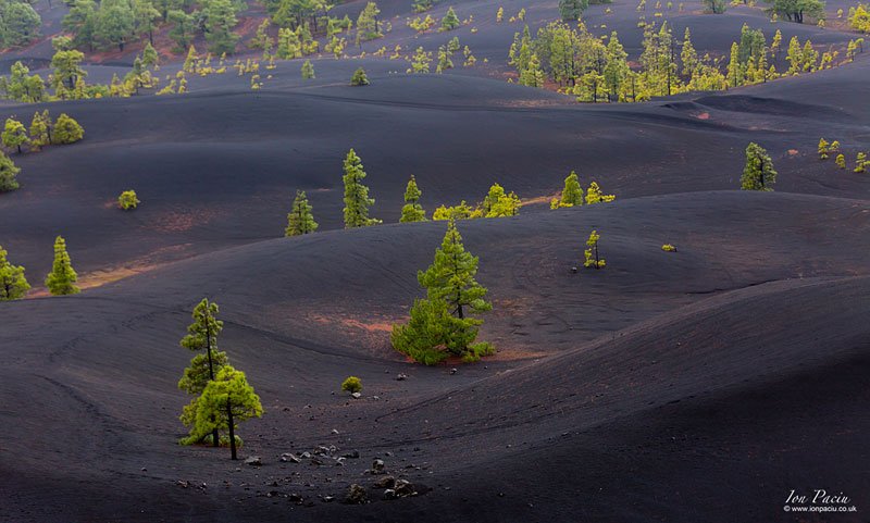 park-parque-natural-cumbre-vieja-la-palma-canary-islands-spain-ion-paciu