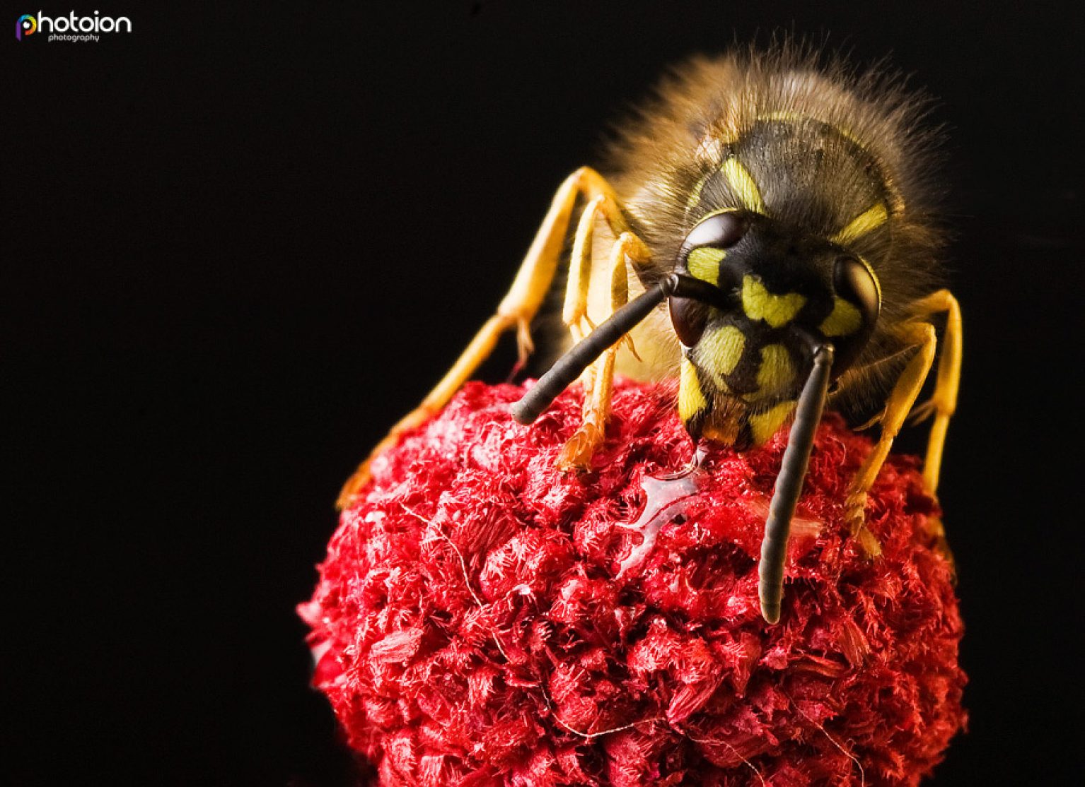 Photo of the Month Competition: May 2016