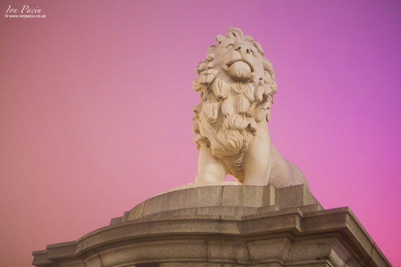 foggy-south-bank-red-lion-westminster-ion-paciu-london