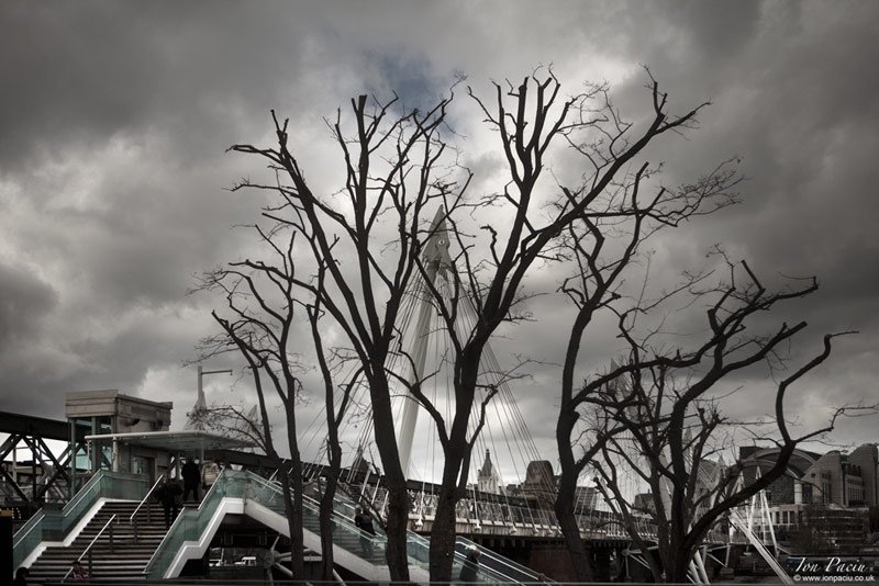 london-trees-south-bank-river-thames-clouds