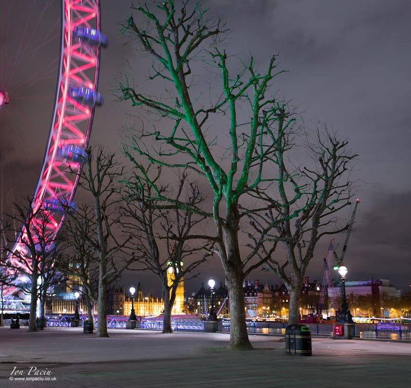 london-trees-south-bank-river-thames-winter-colour-night-london-eye