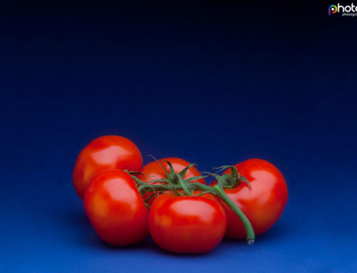 Food Photography Workshop Tomatoes