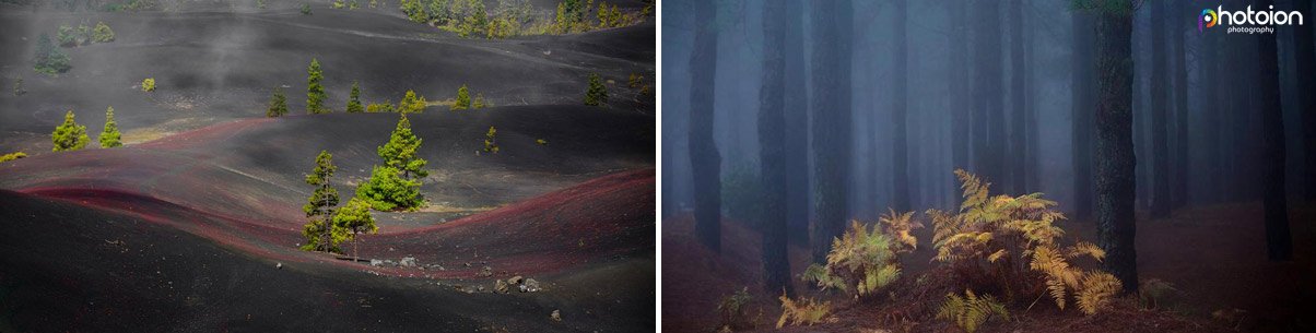 Photography Holiday in La Palma - Cumbre Vieja