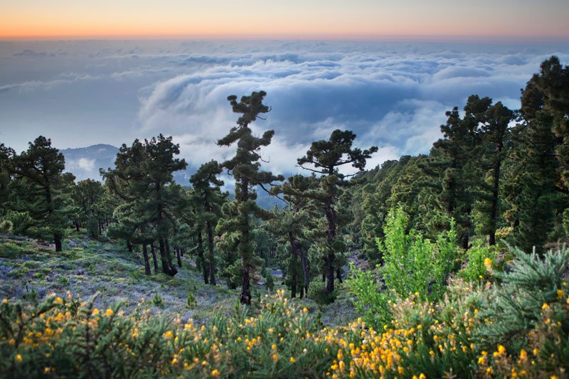 Photography Holiday in La Palma