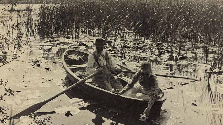 Gathering-Water-Lilies-by-Peter-Harry-Emerson-1886-platinum-print-c-Howarth-Loomes-Collection-at