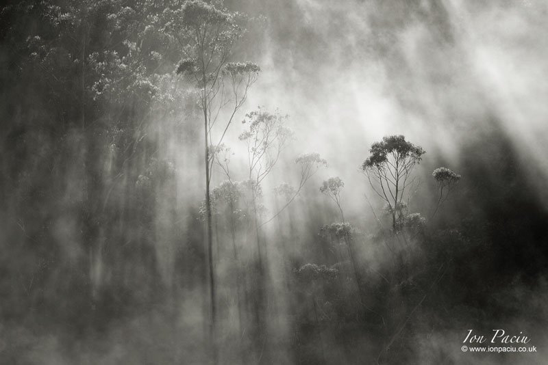 Foggy misty landscape in Madeira