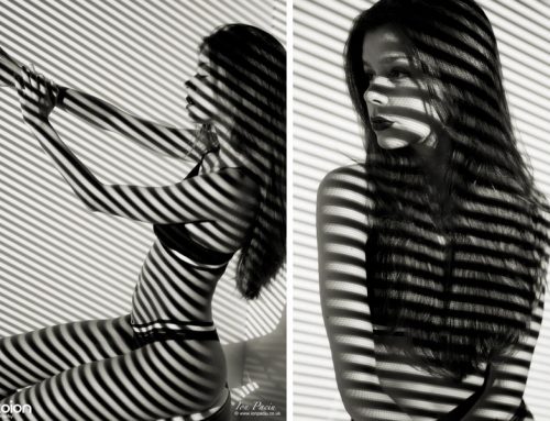 Creative Pattern Light Photography – Stipes Close up