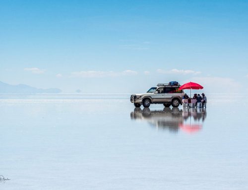 Picnic in the Middle of Nowhere by Aleksandra Dziewa