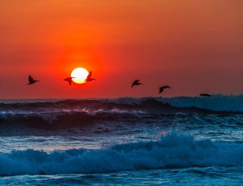 Seascape Image by Anabell Sandoval