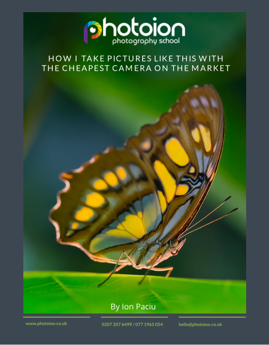 PDF free e-book Free e-book preview