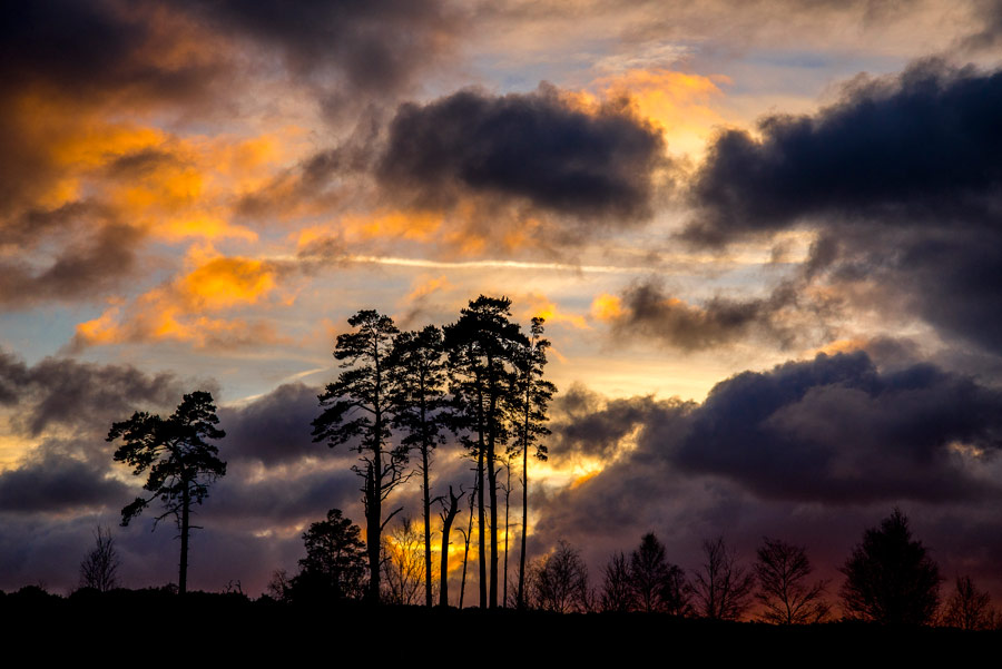 landspace photography by Josh Stead