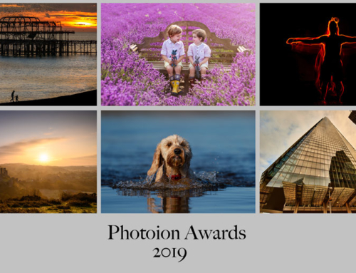 Photoion Photography Awards 2019: Who Are the Winner?