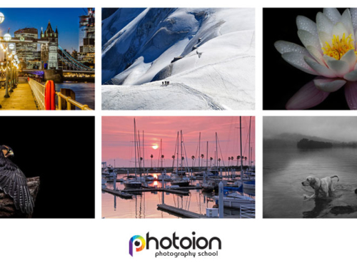 Photoion Photography Awards 2020: Who Are the Winner?