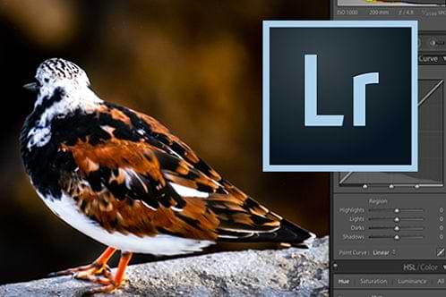 lightroom courses for photographers